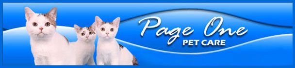 3 cat logo